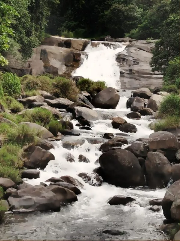 Chinna Kallar Rainforest Falls