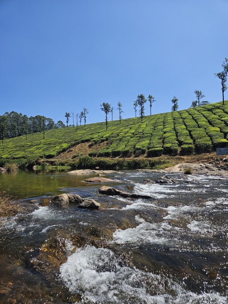 Koozhangal River Valparai