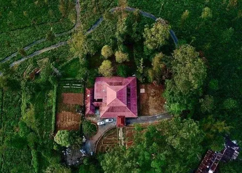Aerial drone perspective of St. George Home Stay nestled in lush Thulasinagar forest